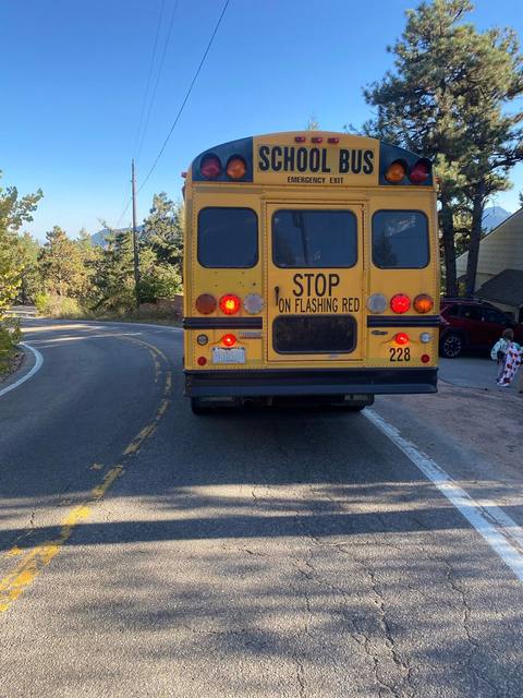 Bus flummoxed my downhill
